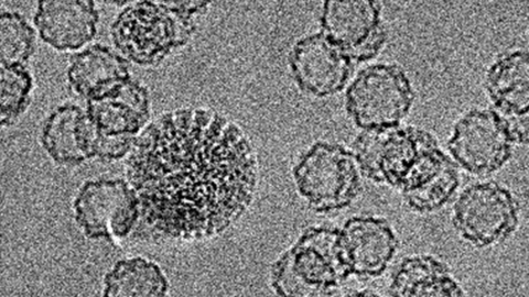 cryoem